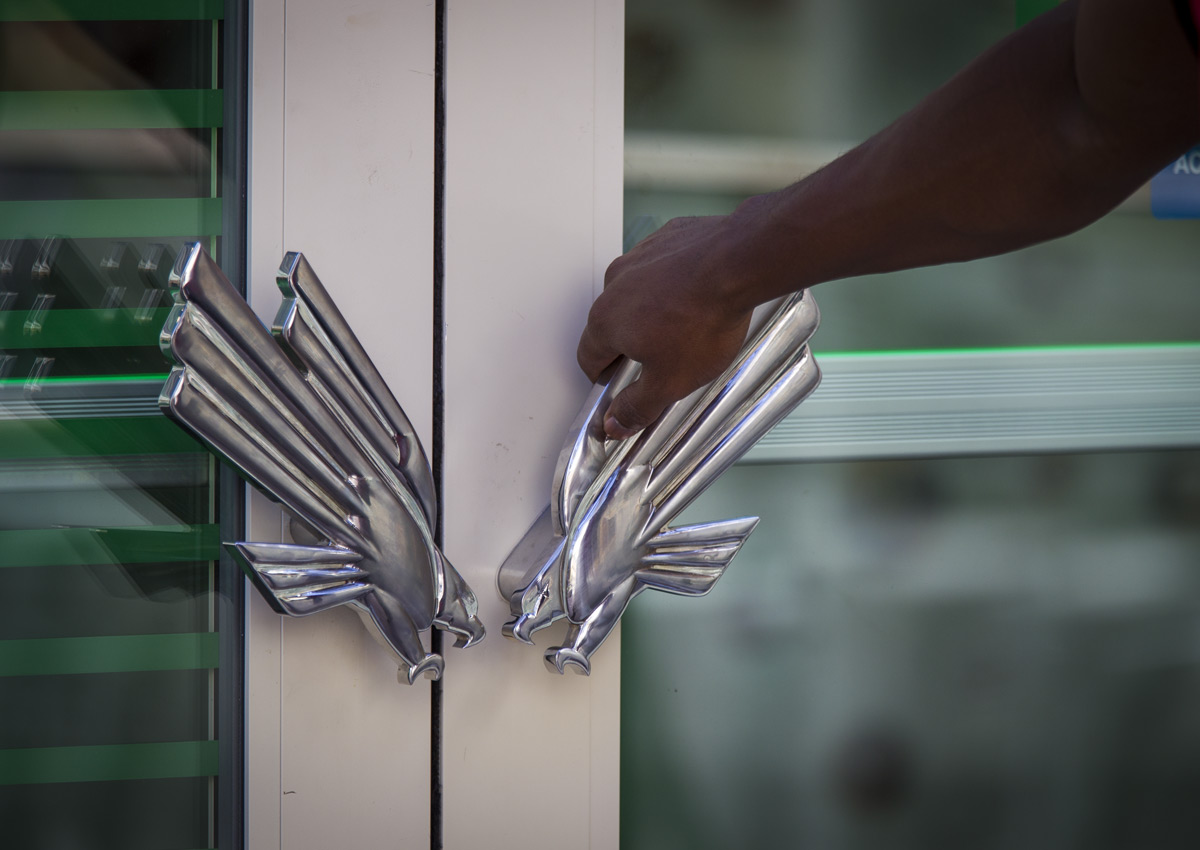 eagle shaped door handles 