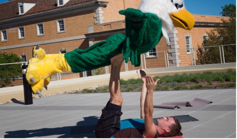 Scrappy doing acro-yoga